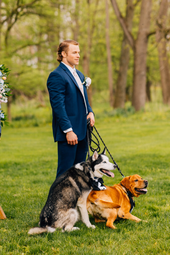 groom with dogs