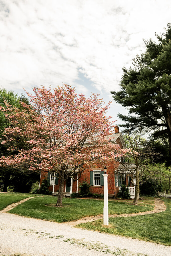 Farmhouse with pink floral tree