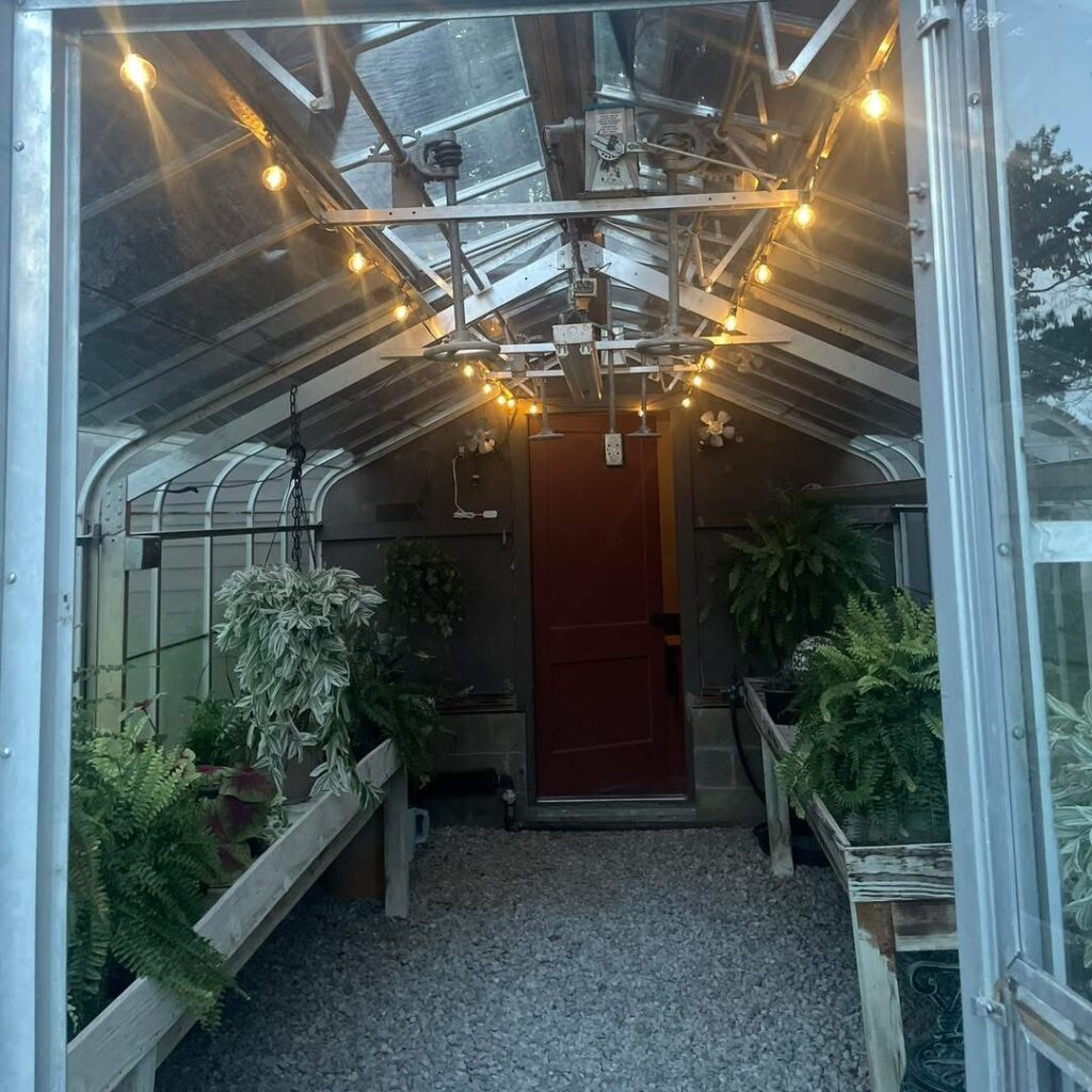 greenhouse with lights