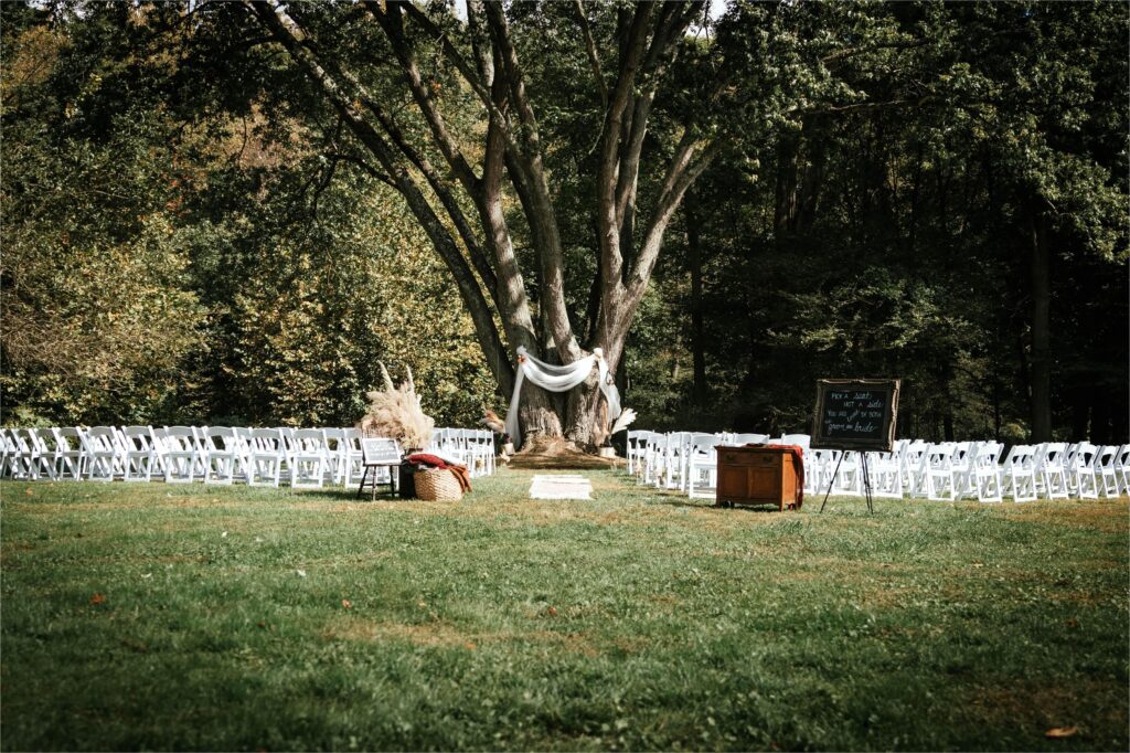 outdoor wedding ceremony with big tree
